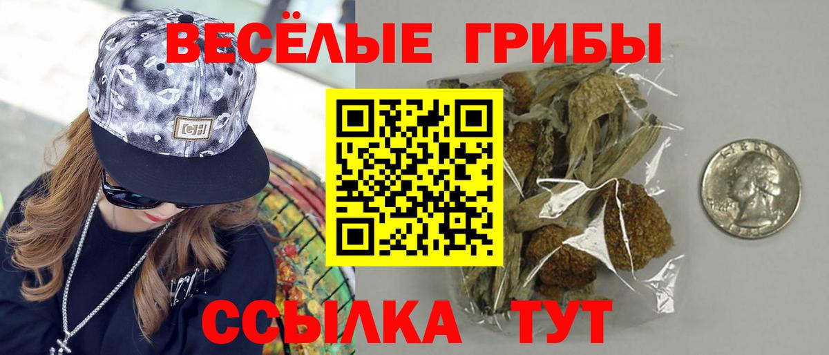 Псилоцибиновые грибы ЛСД  Вход с VPN  Донской  Псилоцибиновые грибы MAGIC MUSHROOMS 